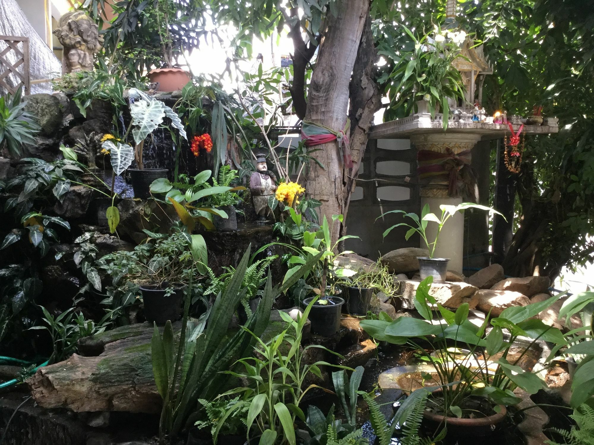 Rose Guest House צ'יאנג מאי מראה חיצוני תמונה